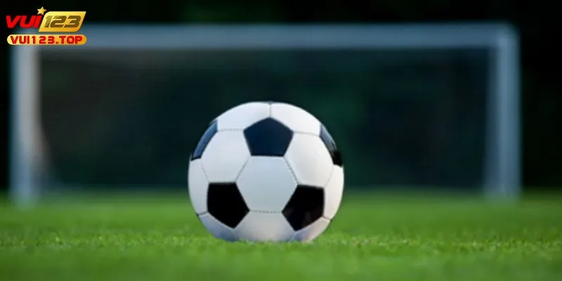 Hướng dẫn để vào tham gia cược dành cho newbie